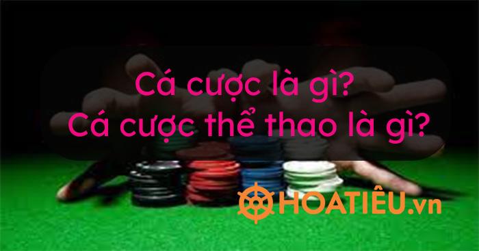 Khám phá soi cau 100 ngay chuẩn xác cùng bí quyết soi cau 100 ngay dành cho người mới