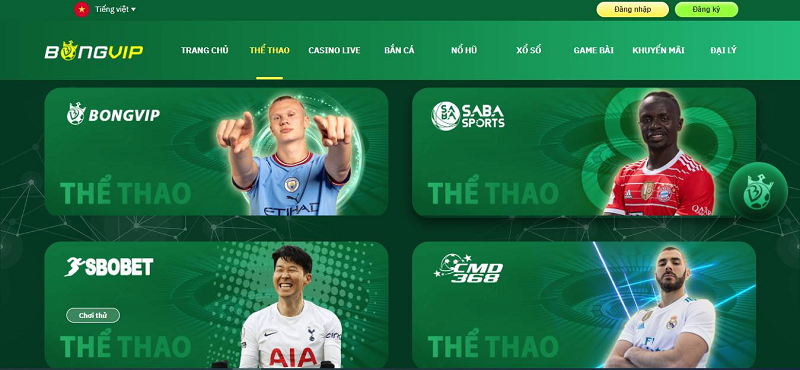 Hướng dẫn chi tiết cách chơi game ica trên máy tính dễ dàng và hiệu quả